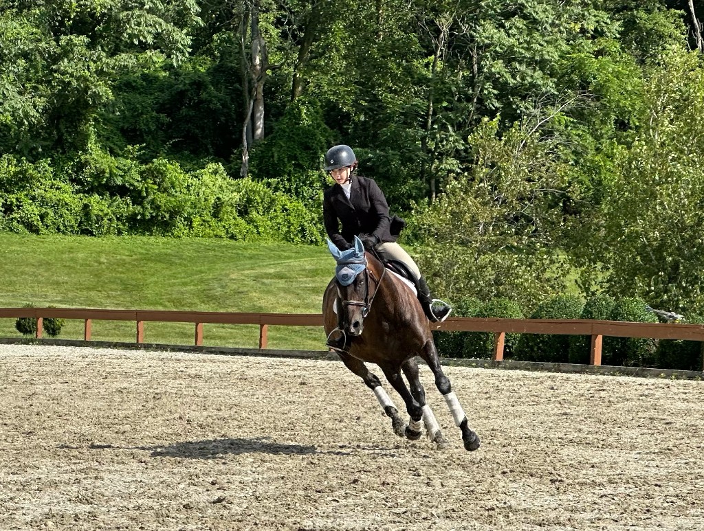 Catherine schooling a horse in the outdoor arena at Furlyn Farm
