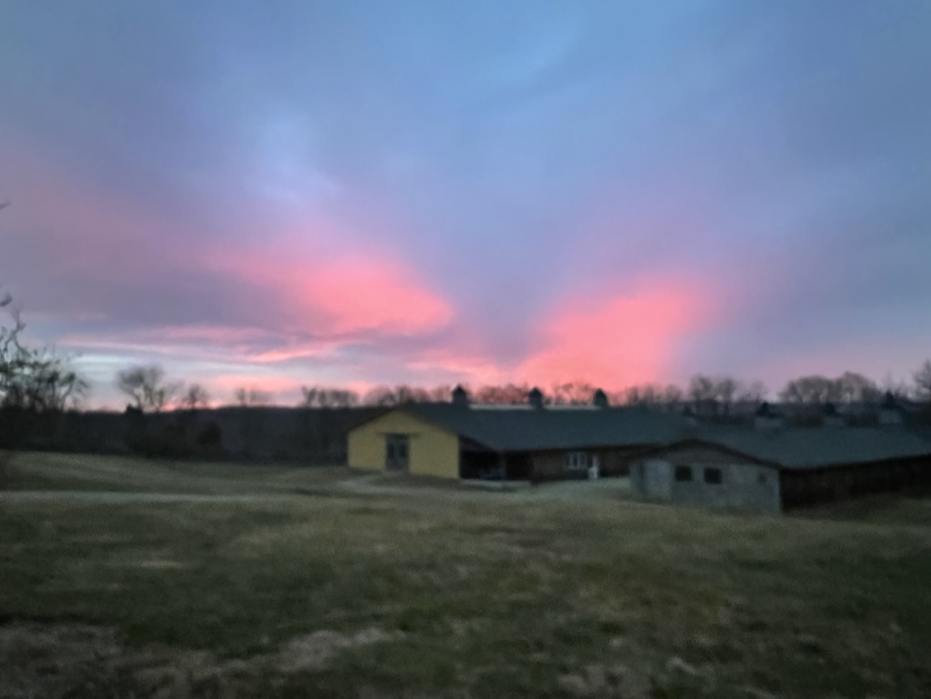 Farm barns at dawn at Furlyn Farm