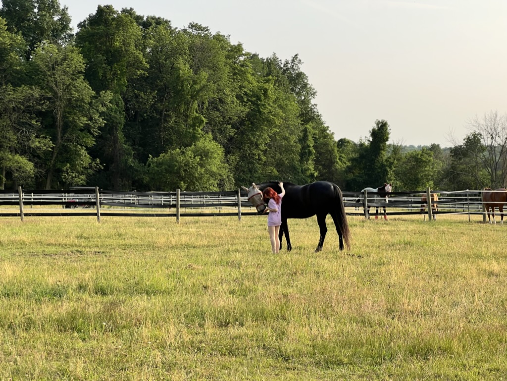 Horse and handler in pasture turnout at Furlyn Farm
